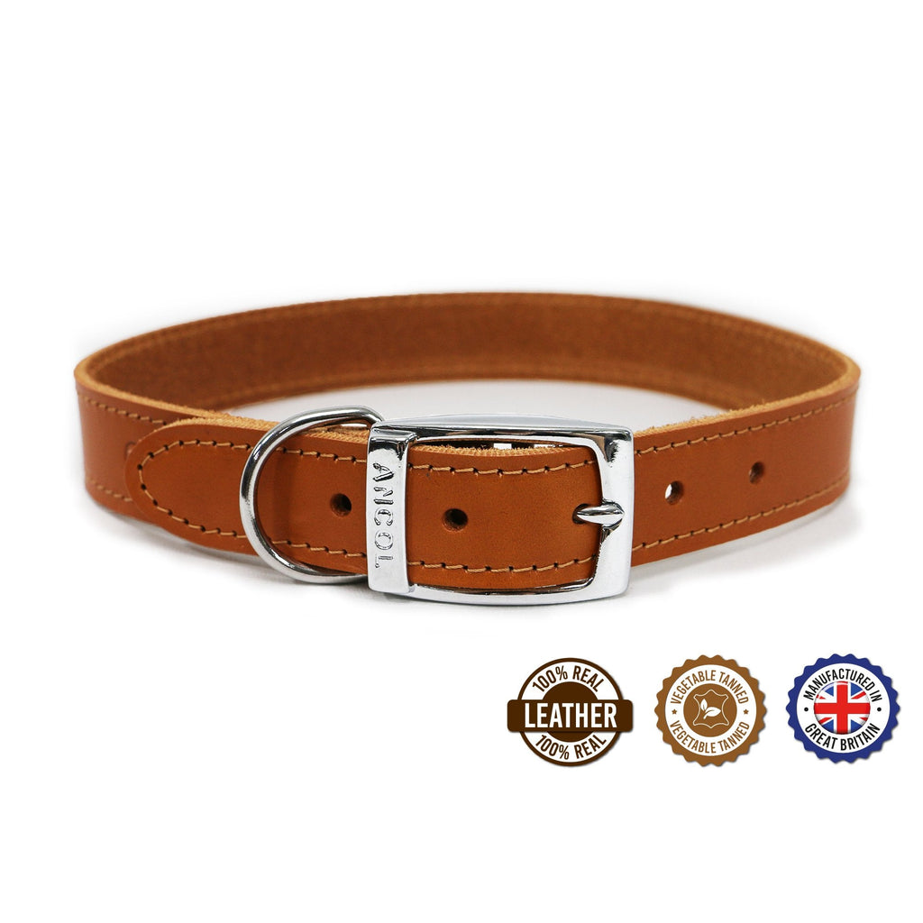 Ancol Classic Collection Leather Dog Collars
