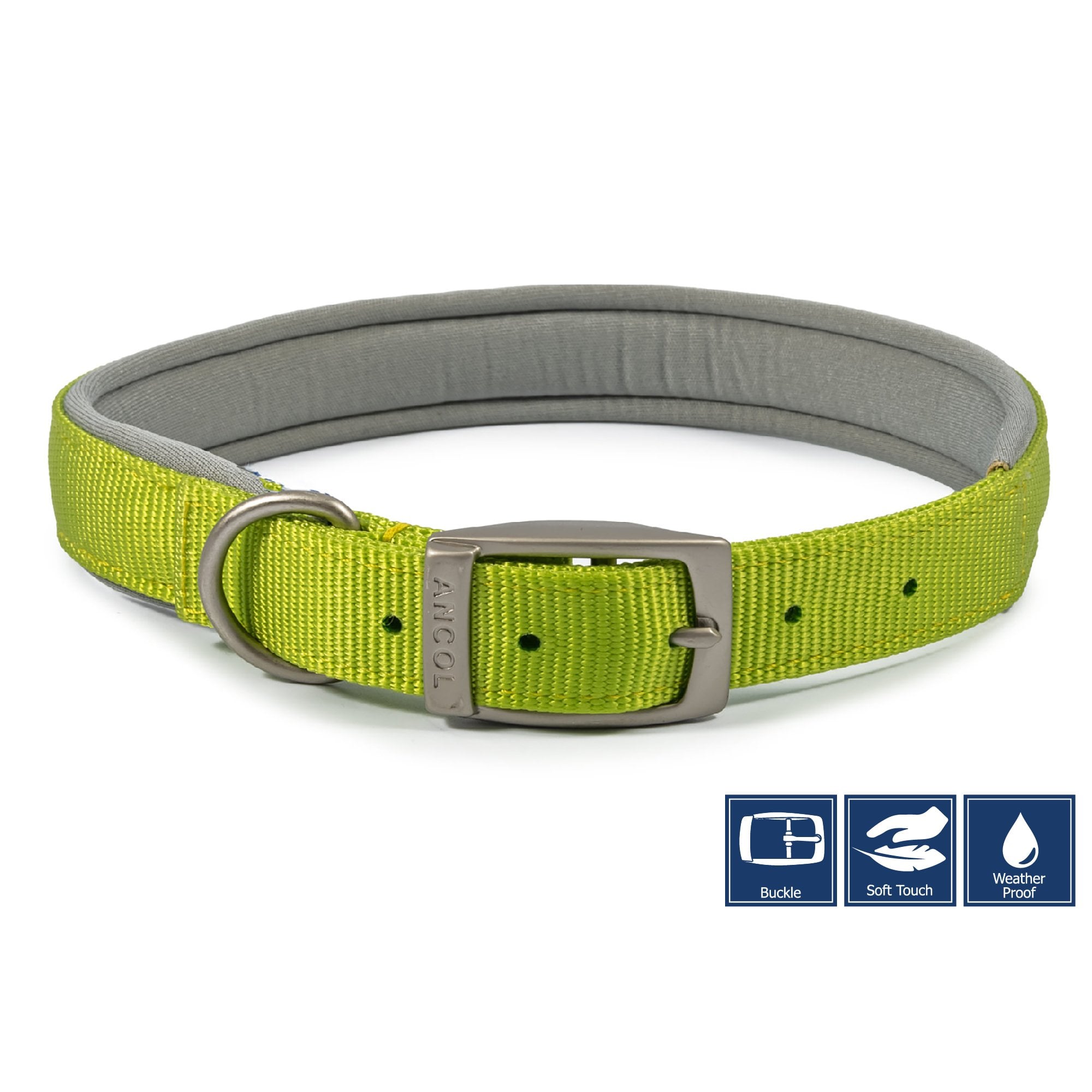 Viva Padded Buckle Dog Collar Lime - Size 4