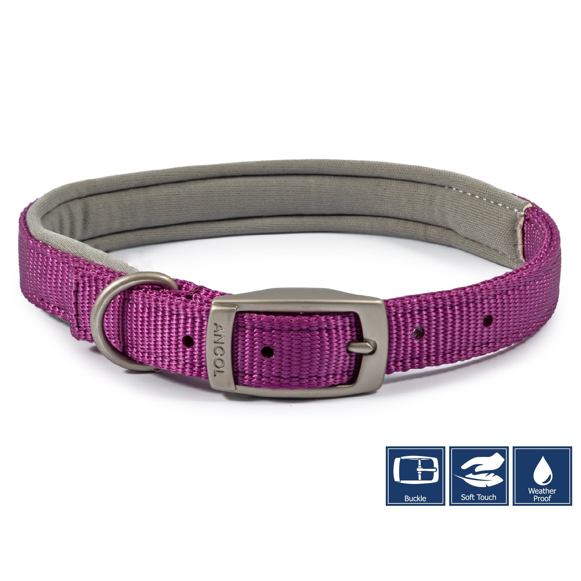 Viva Padded Buckle Dog Collar Purple - Size 4