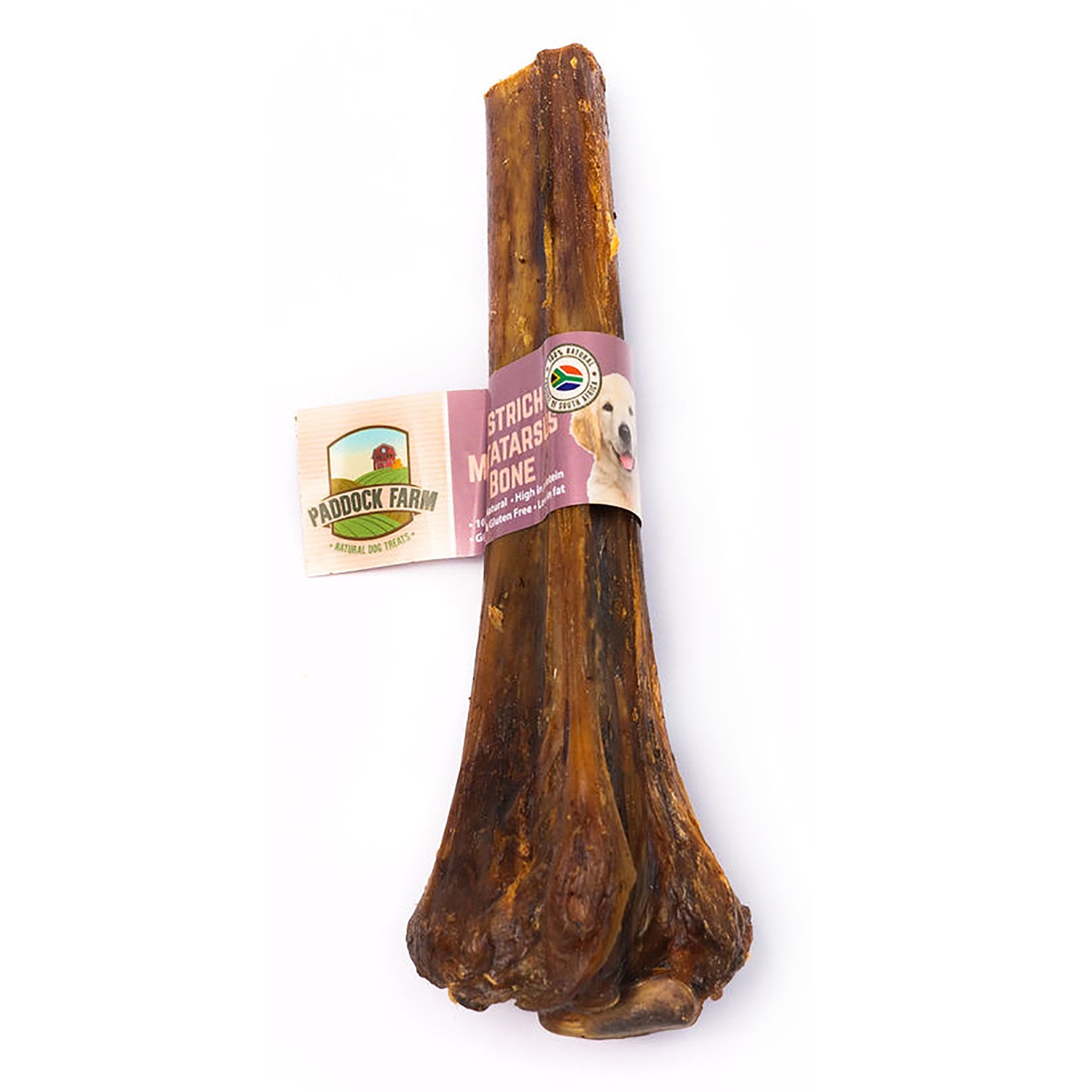 Ostrich Metatarsus Bone Natural Dog Treat