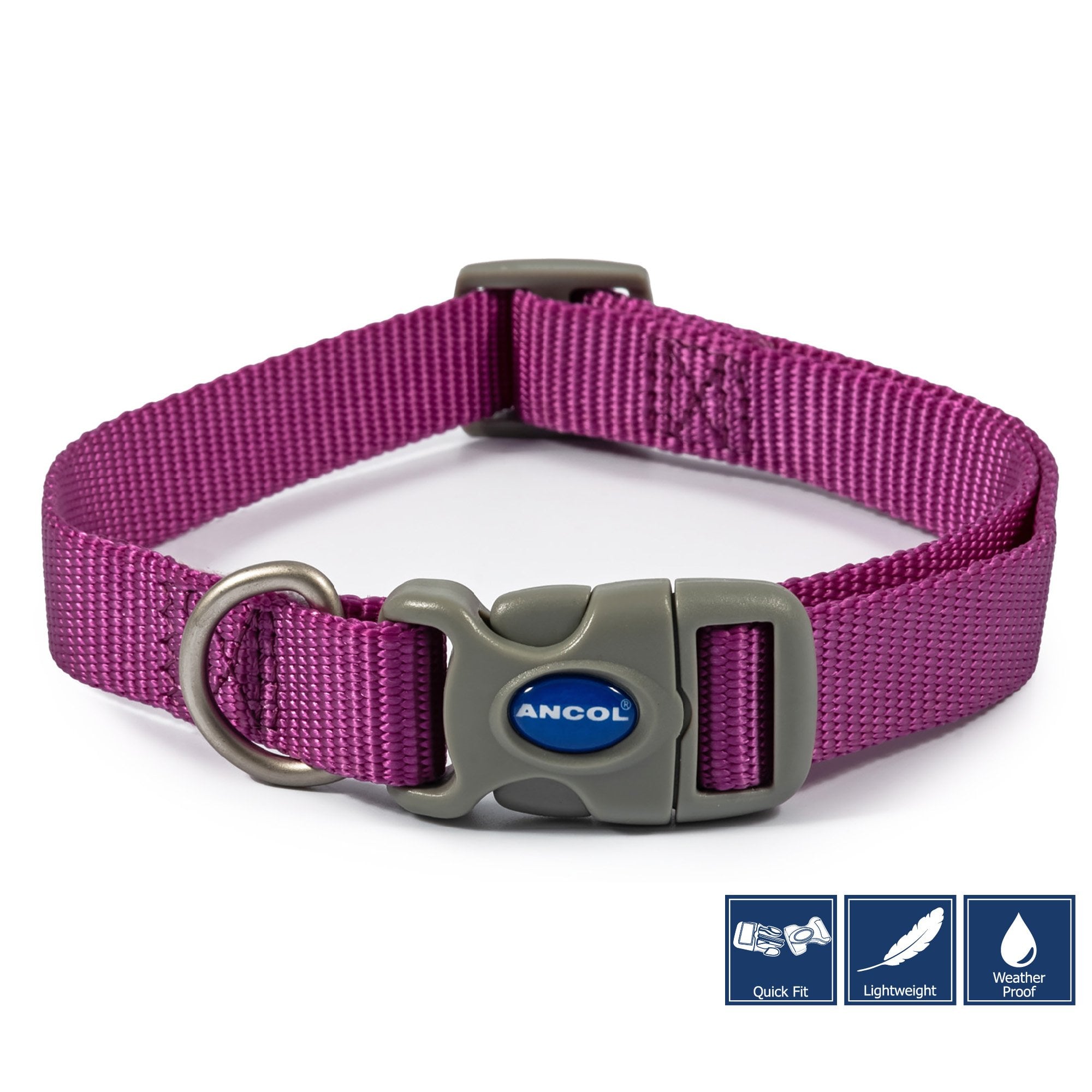 Ancol Viva Quick Fit Adjustable Dog Collar Purple Size 1-2 (20-30cm)