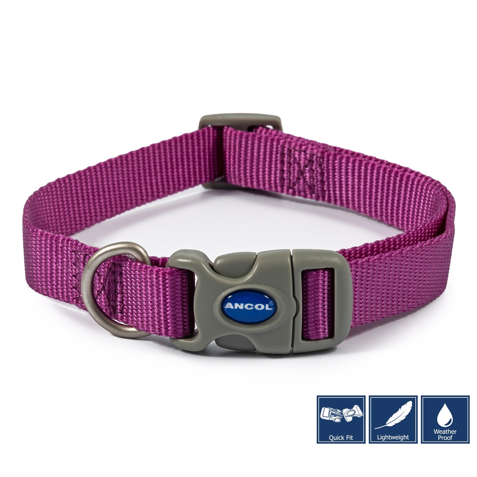 Ancol Viva Quick Fit Adjustable Dog Collar Purple - Size 5-9 (45-70cm)