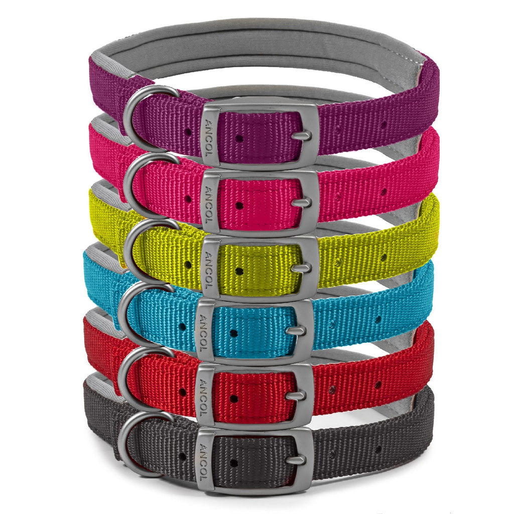 Viva Padded Buckle Dog Collar