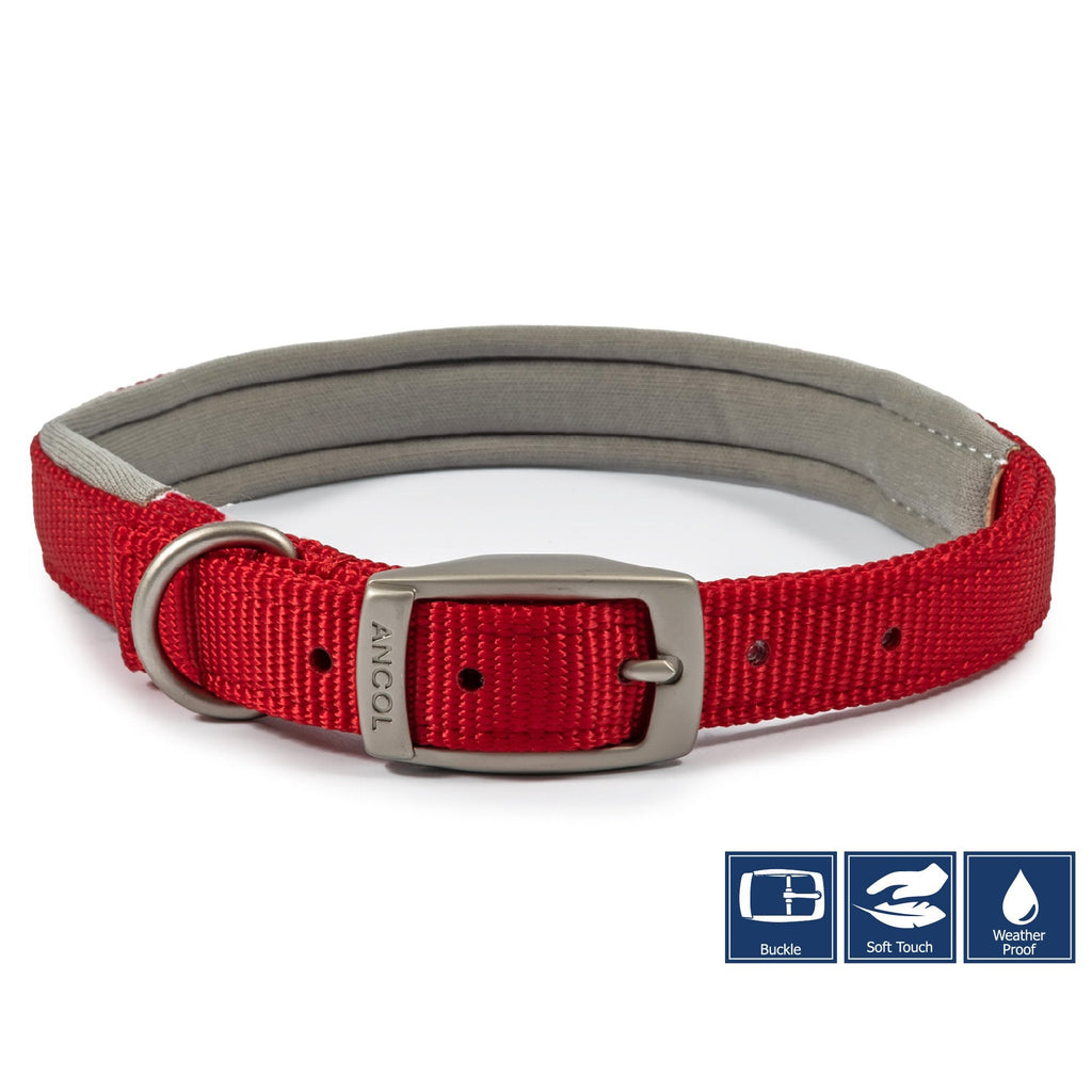 Viva Padded Buckle Dog Collar