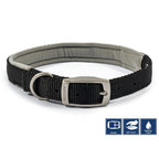 Viva Padded Buckle Dog Collar