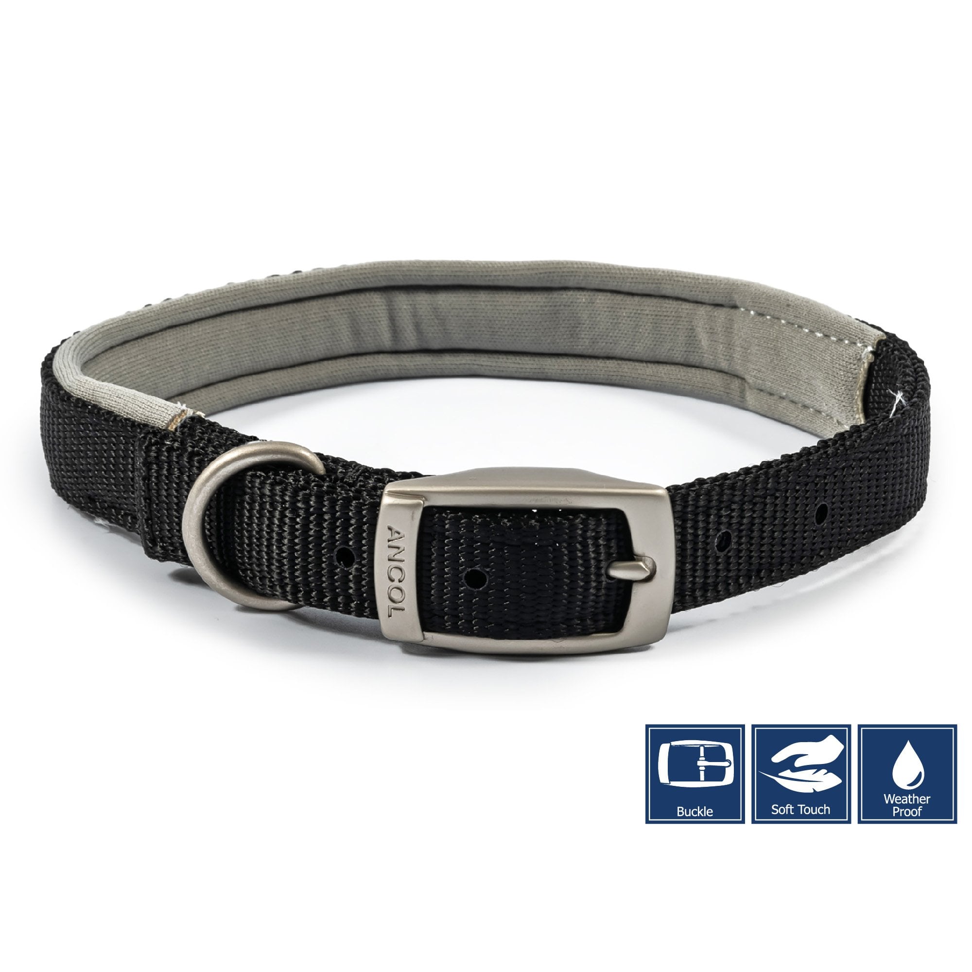 Viva Padded Buckle Dog Collar