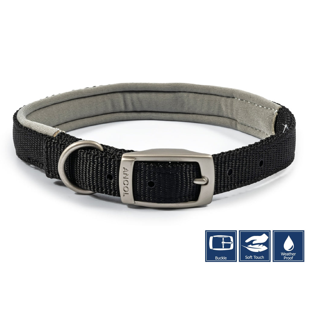 Viva Padded Buckle Dog Collar