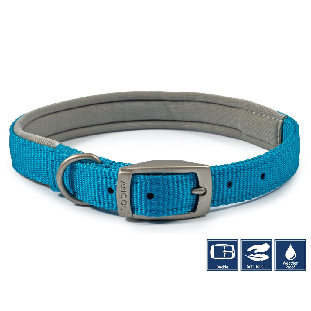 Viva Padded Buckle Dog Collar