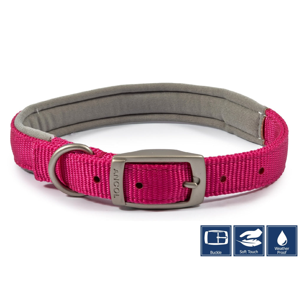 Viva Padded Buckle Dog Collar