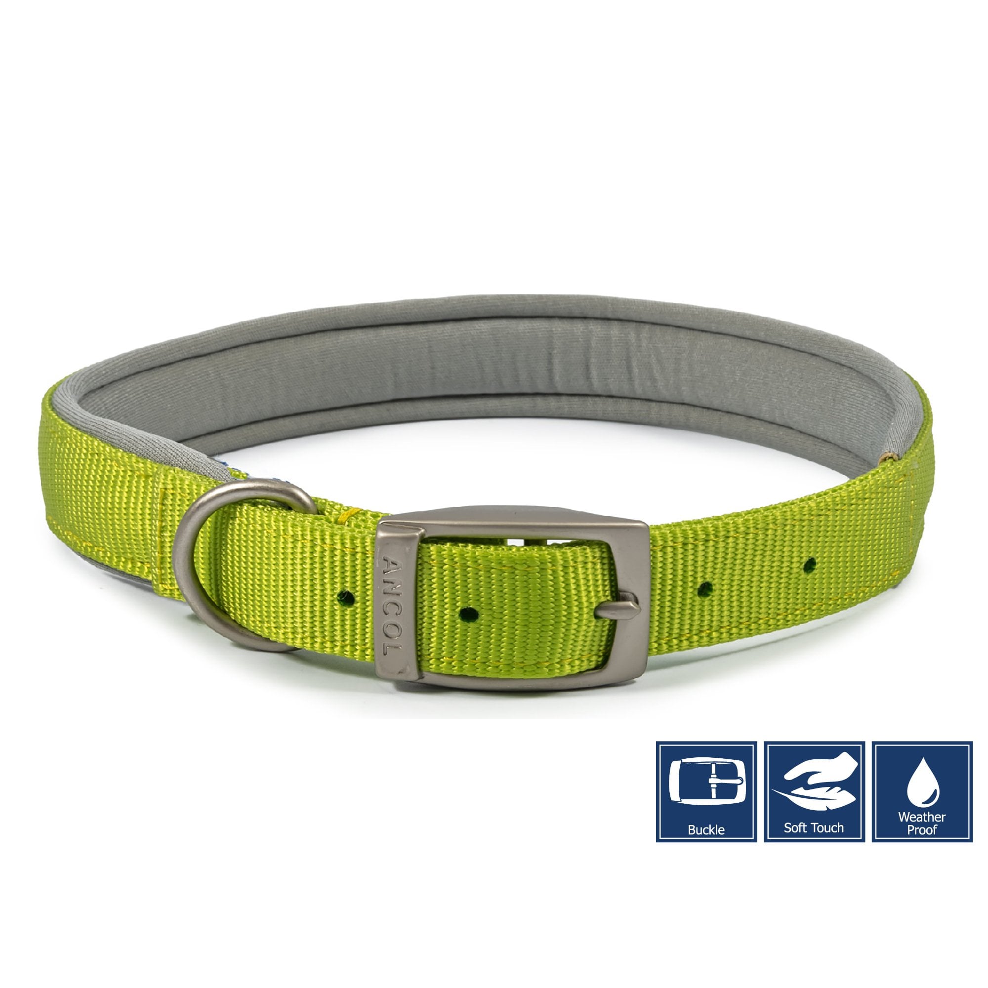 Ancol Viva Padded Buckle Dog Collar Lime Size 5 (39 - 48cm)