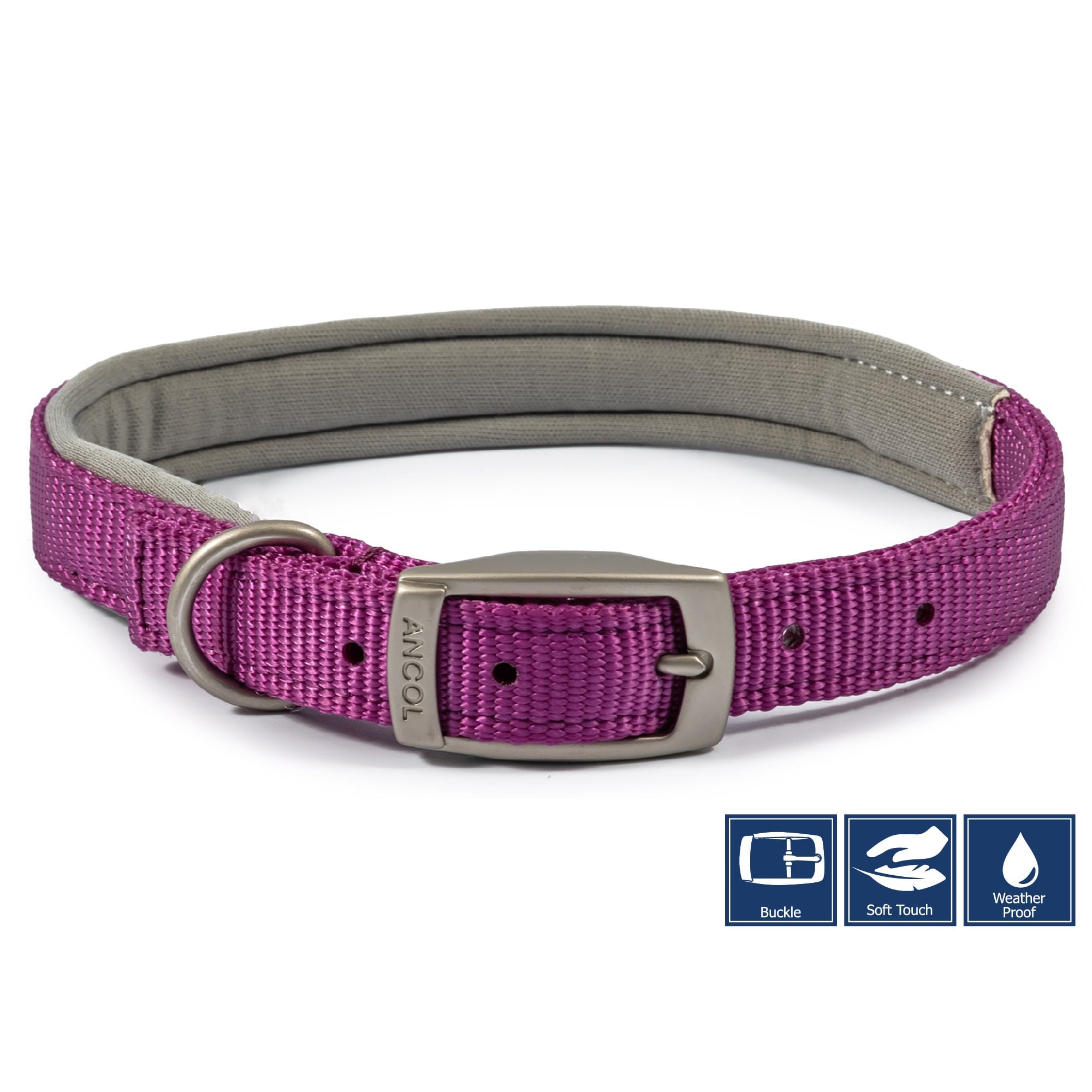 Viva Padded Buckle Dog Collar Purple Size 5 (39 - 48cm)