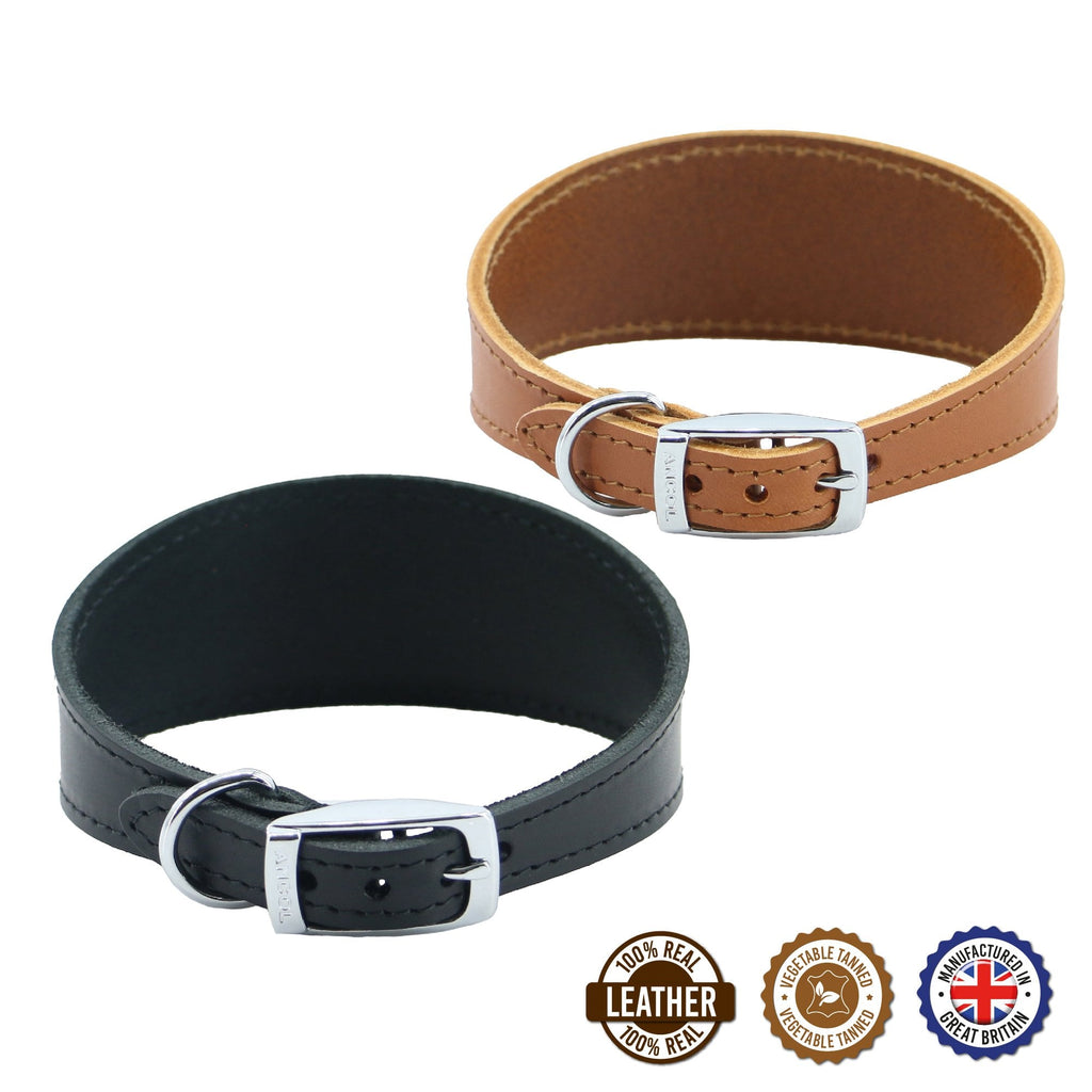 Ancol Greyhound/Whippet Dog Collar