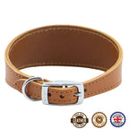 Ancol Greyhound/Whippet Dog Collar
