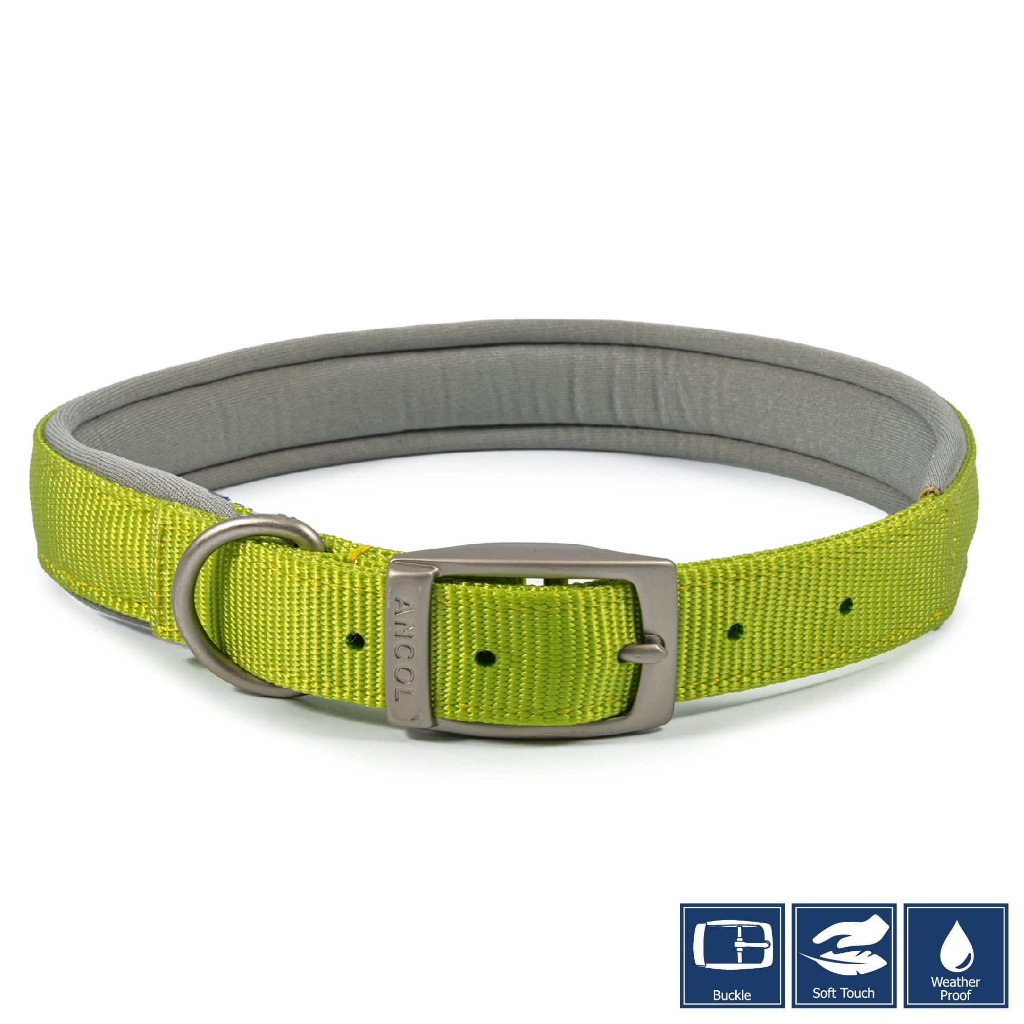 Ancol Viva Padded Buckle Dog Collar Lime Size 6 (45-54cm)