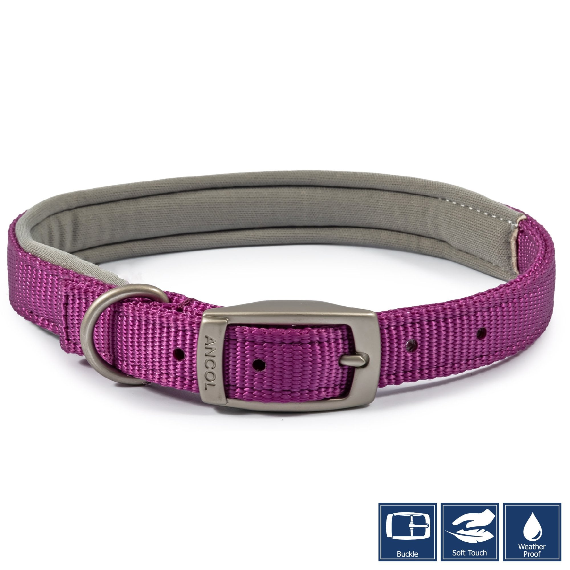 Ancol Viva Padded Buckle Dog Collar Purple Size 6 (45-54cm)