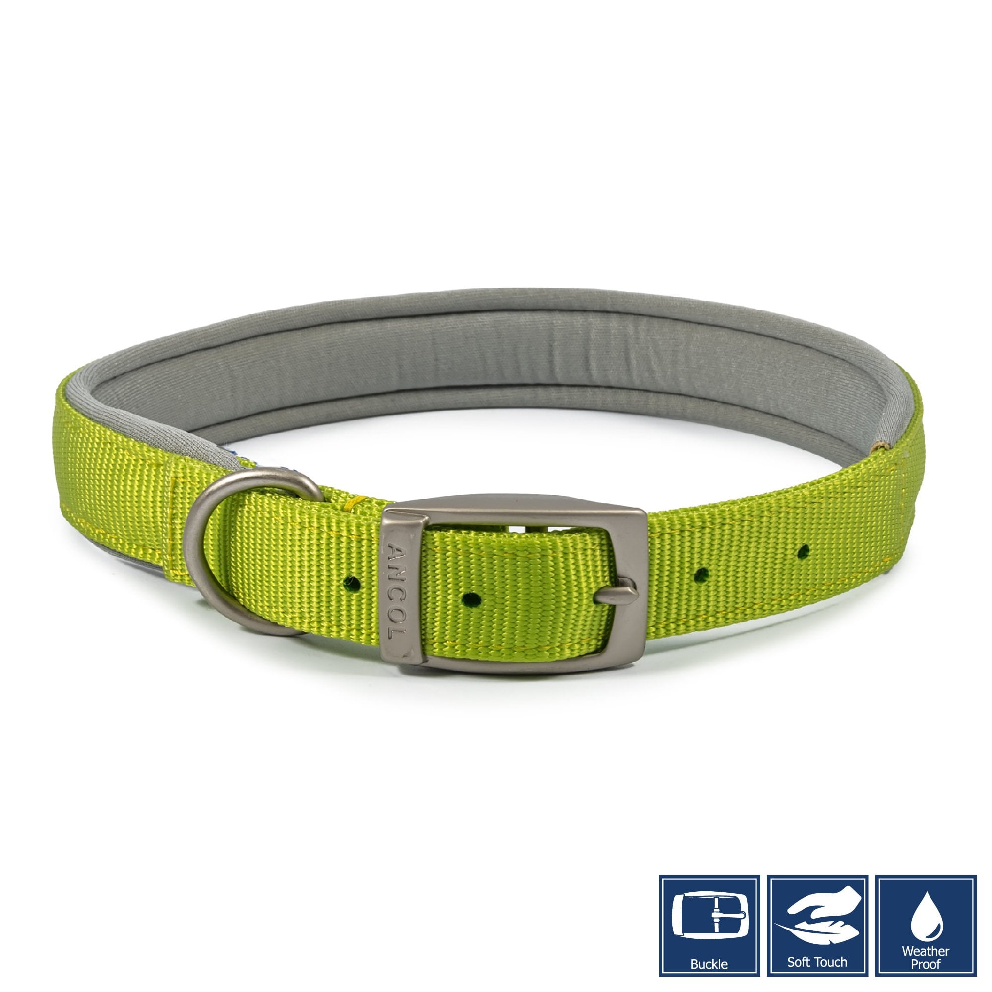 Ancol Viva Padded Buckle Dog Collar Lime Size 7 (50-59cm)