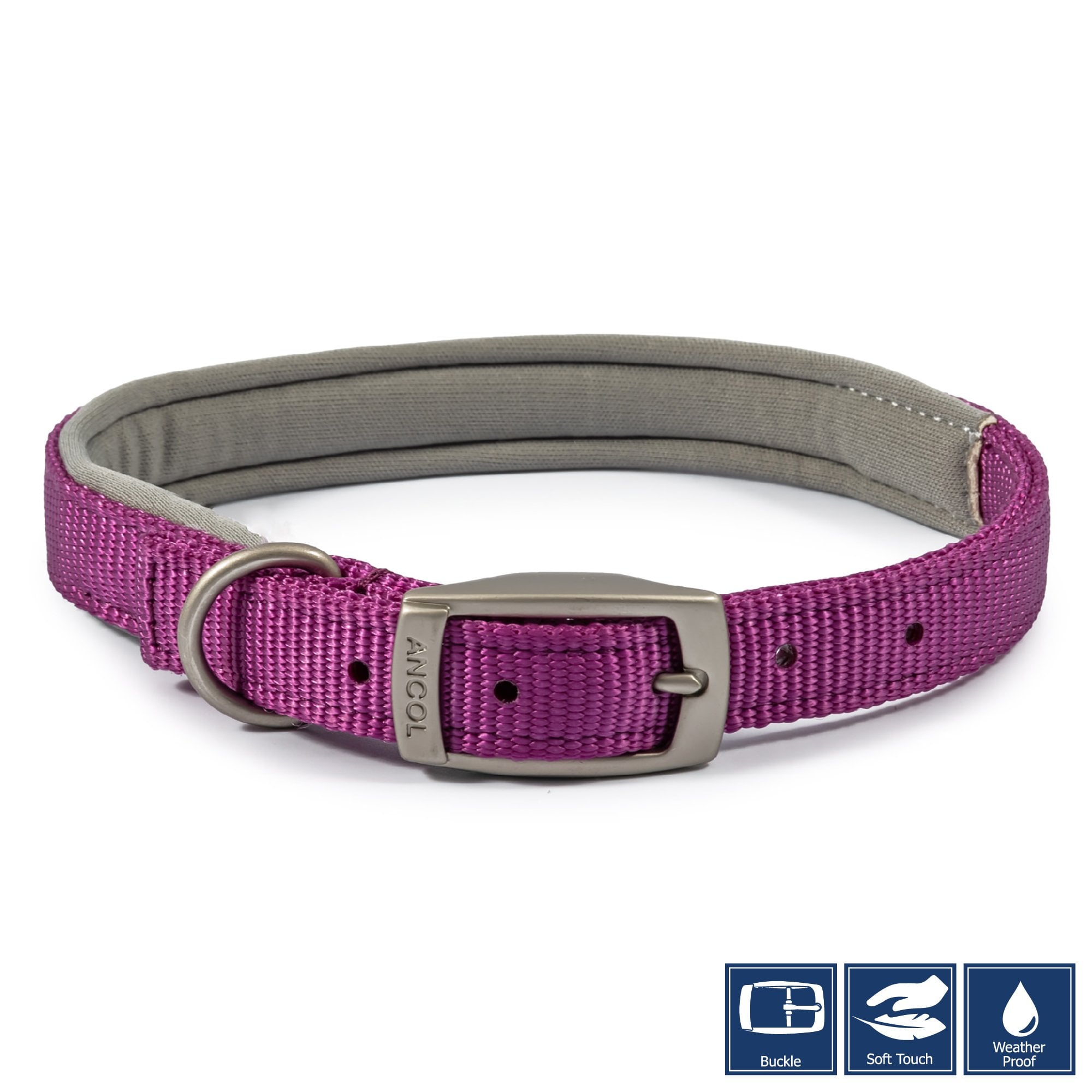 Ancol Viva Padded Buckle Dog Collar Purple Size 7 (50-59cm)