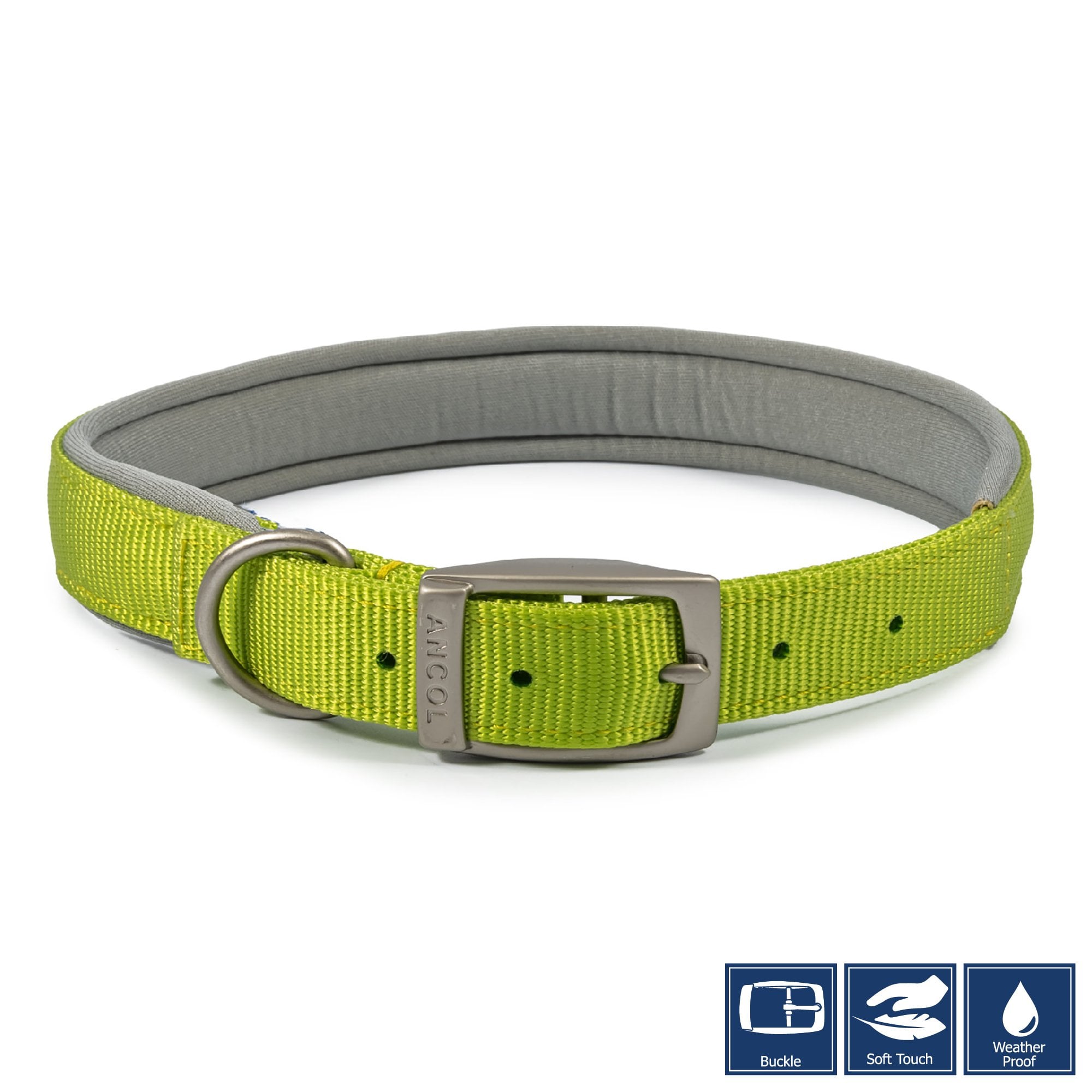 Ancol Viva Padded Buckle Dog Collar Lime Size 8 (55-63cm)