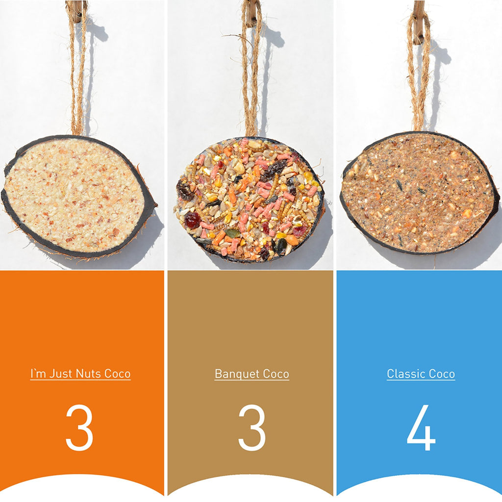 Variety Pack Coco Feeders 10 Pack