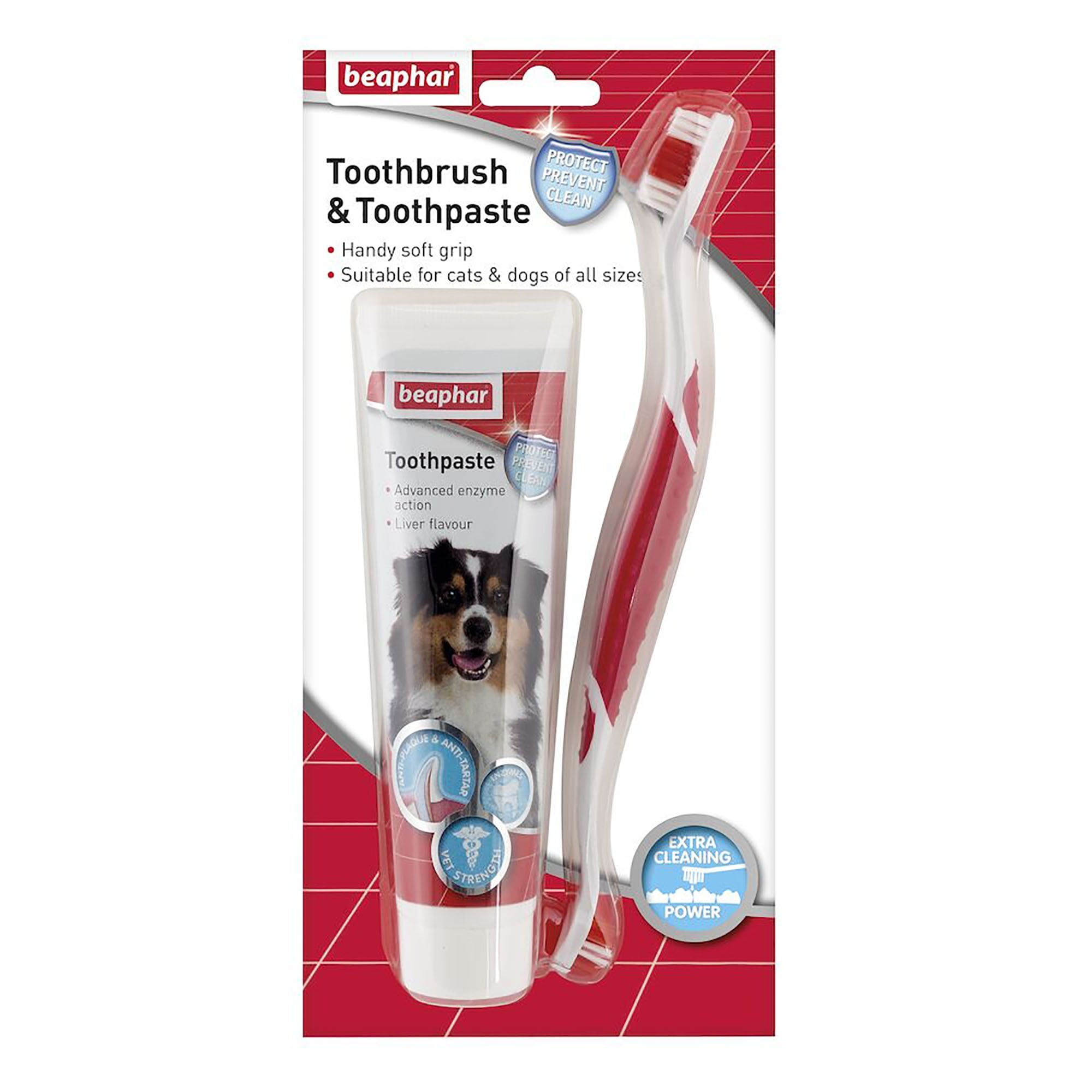Toothbrush & Toothpaste for Cats & Dogs