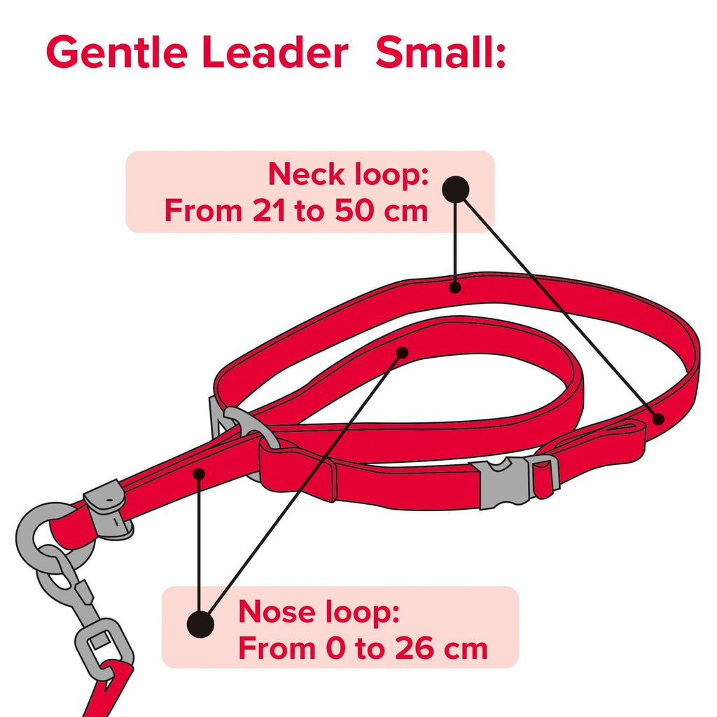 Beaphar Gentle Leader Head Collar Black For Small Dogs