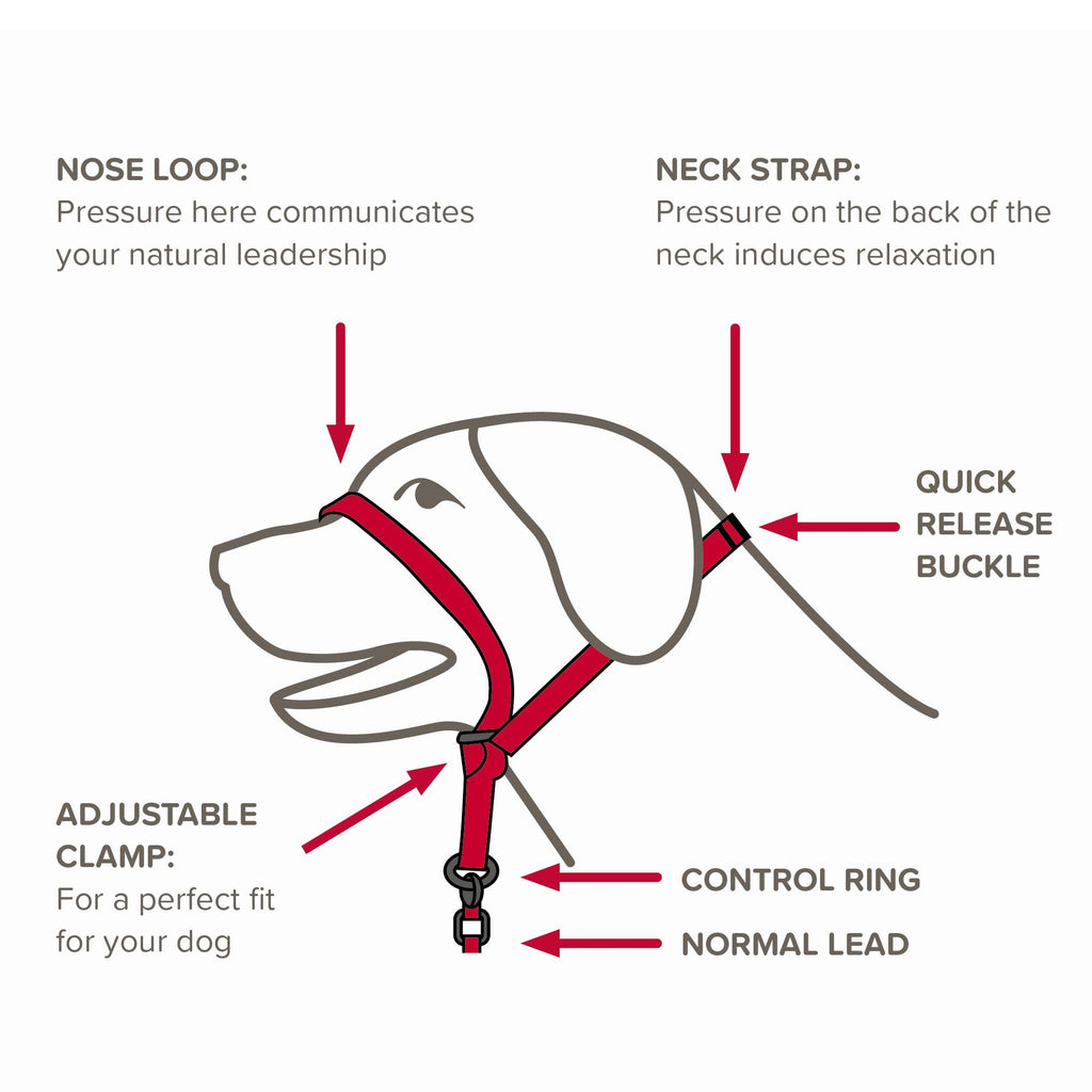 Gentle Leader Head Collar Black For Large Dogs