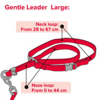 Gentle Leader Head Collar Black For Large Dogs