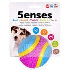 Sharples Five Senses Sensory Ball Dog Toy