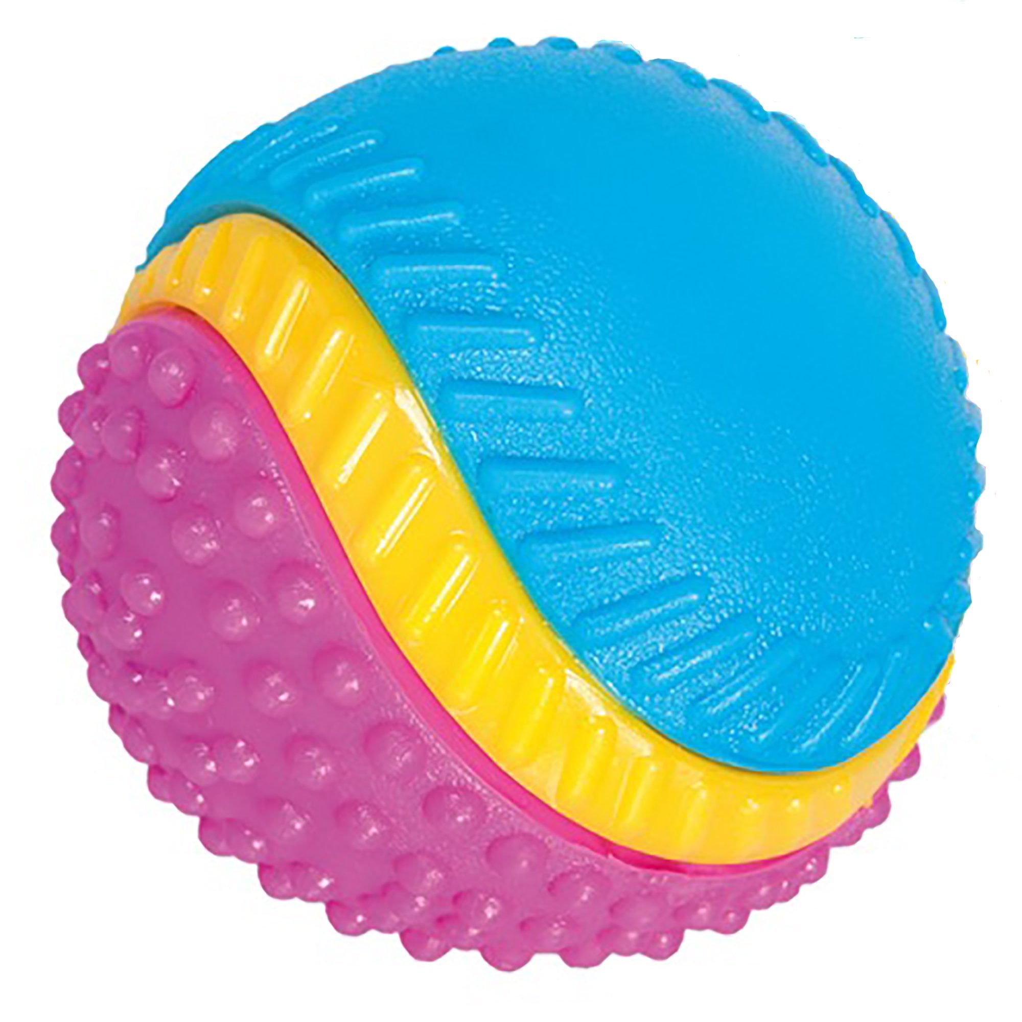 Five Senses Sensory Ball Dog Toy