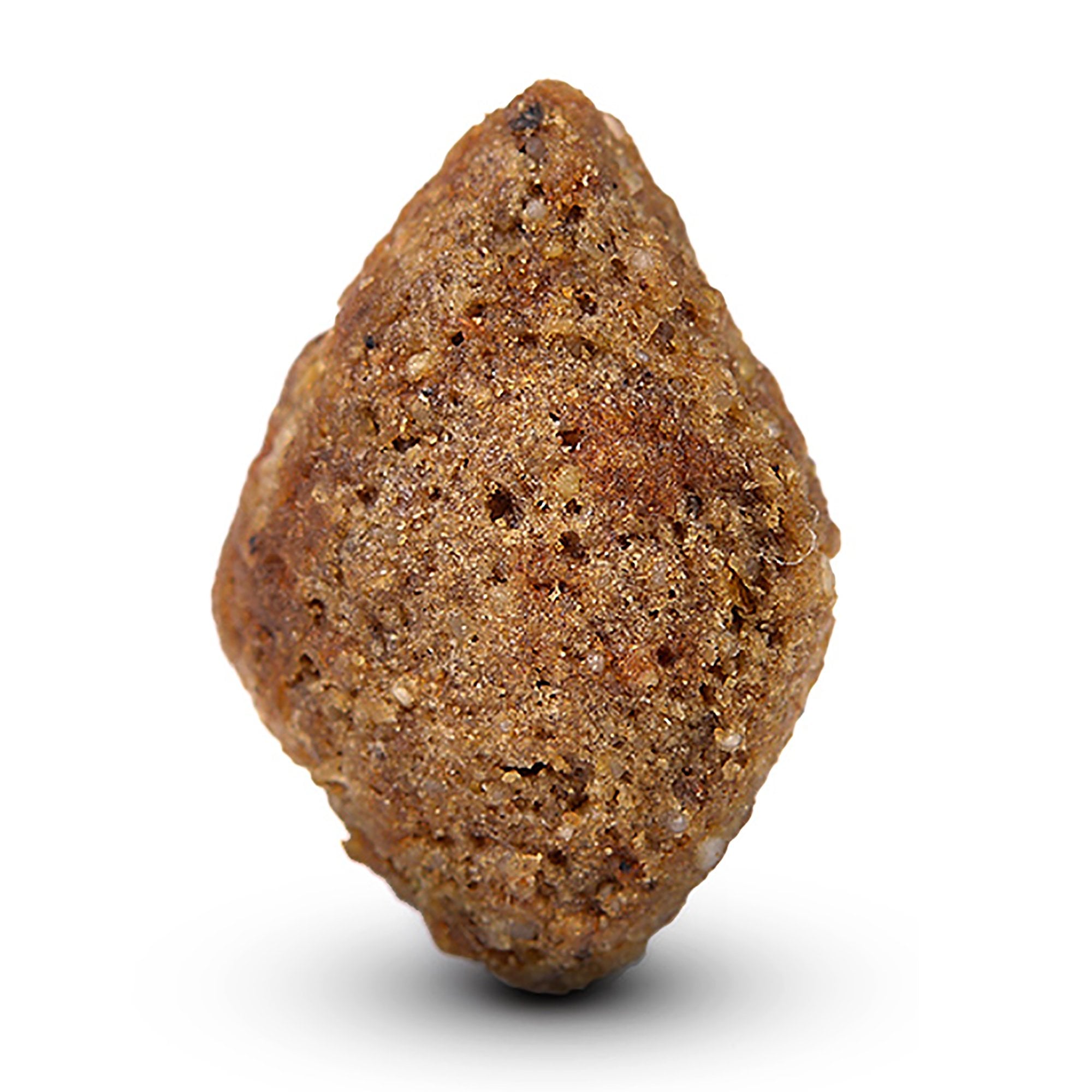 Adult With Fresh Salmon & Rice Dog Food 2kg