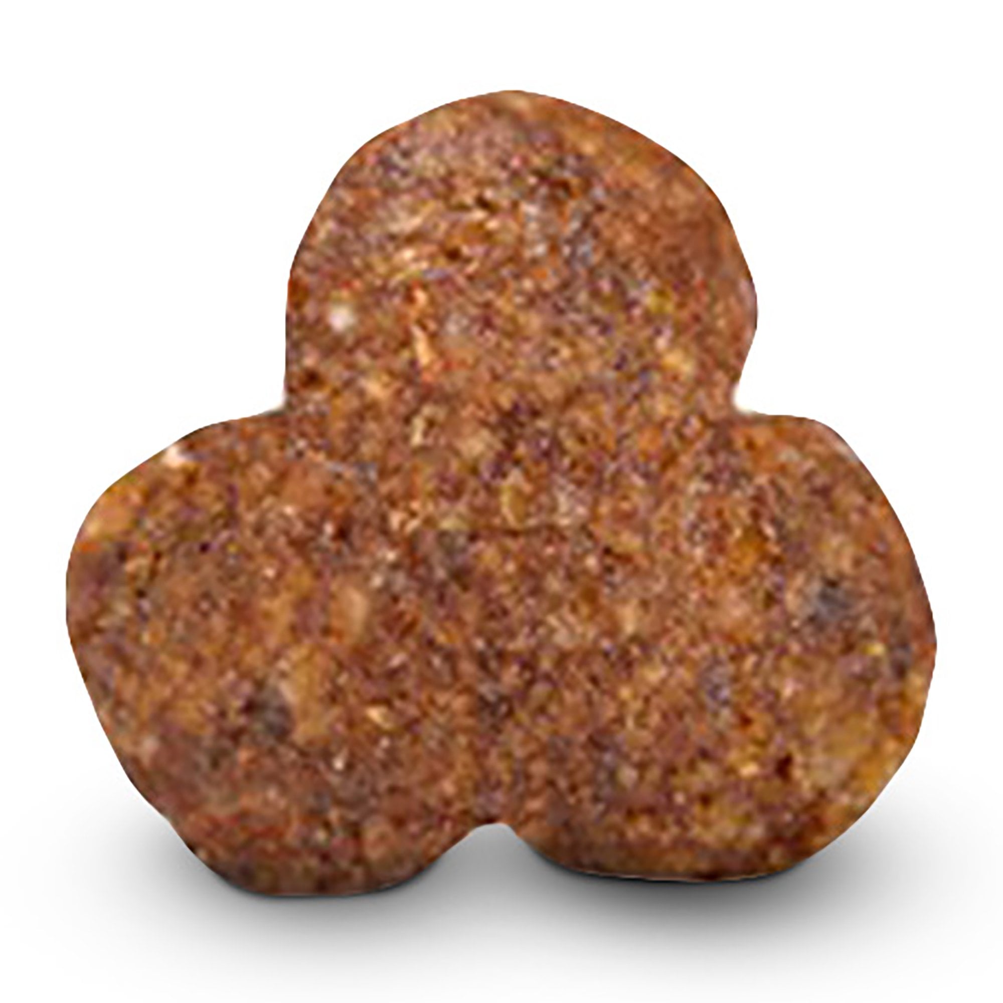 Sensitive Adult Grain Free Fish & Potato Dog Food 2kg