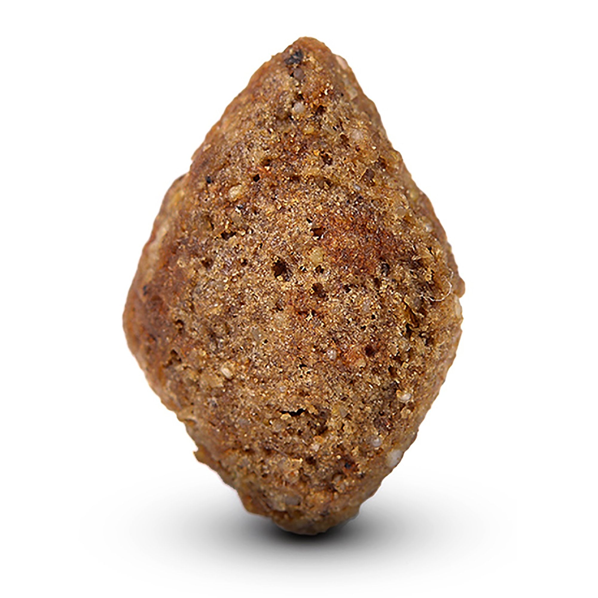 Adult Dog Food With Fresh Salmon & Rice 6kg