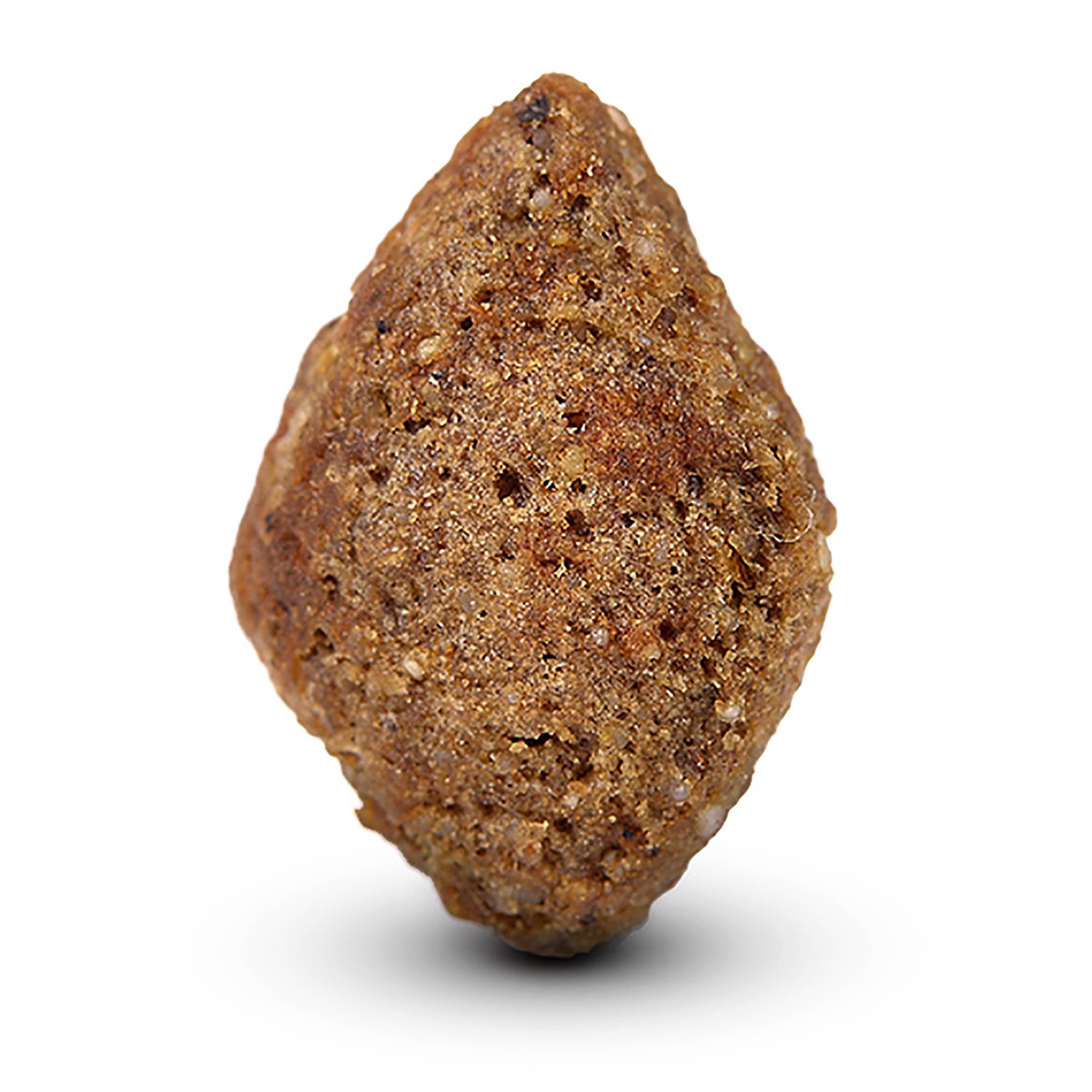 Adult Dog Food With Fresh Salmon & Rice 12kg