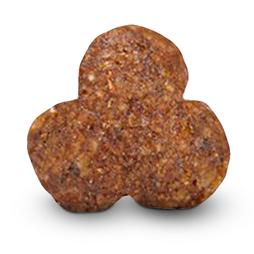 Sensitive Grain Free Adult Dog Food Fish & Potato 12kg