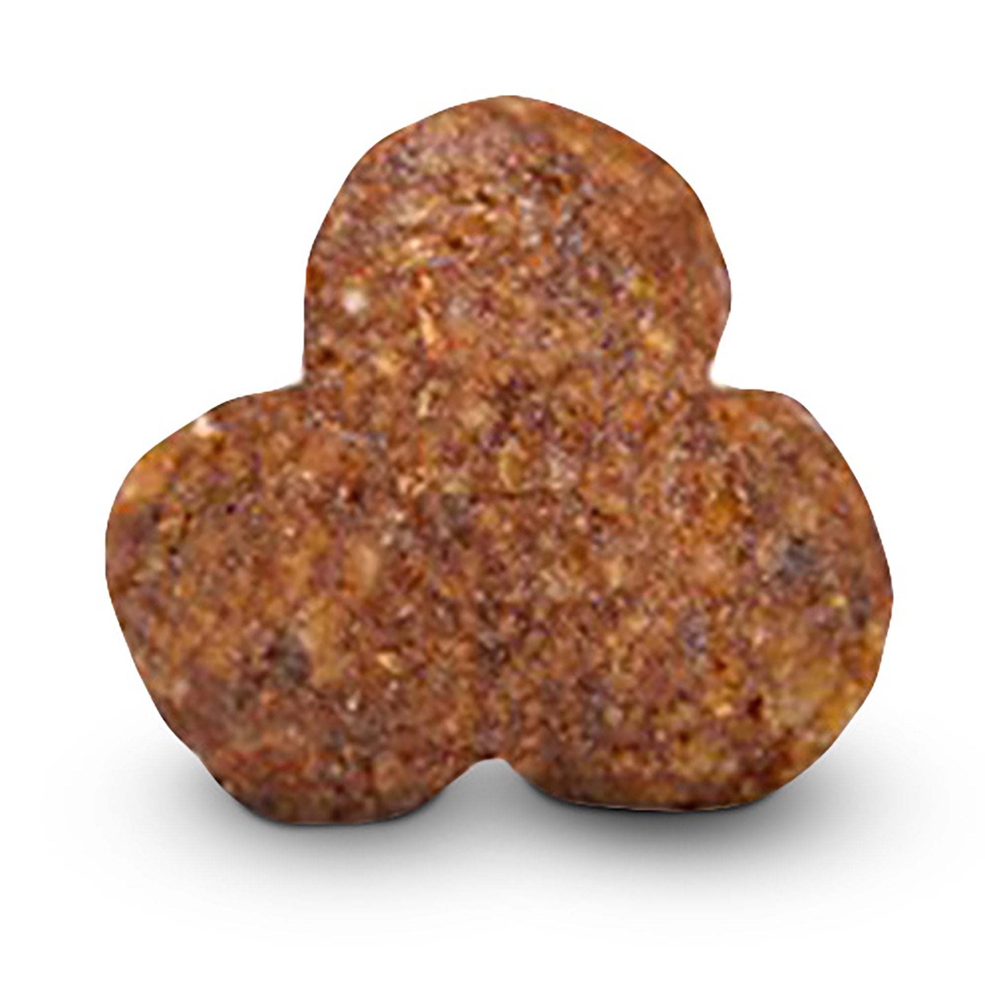 Sensitive Grain Free Adult Dog Food Fish & Potato 12kg