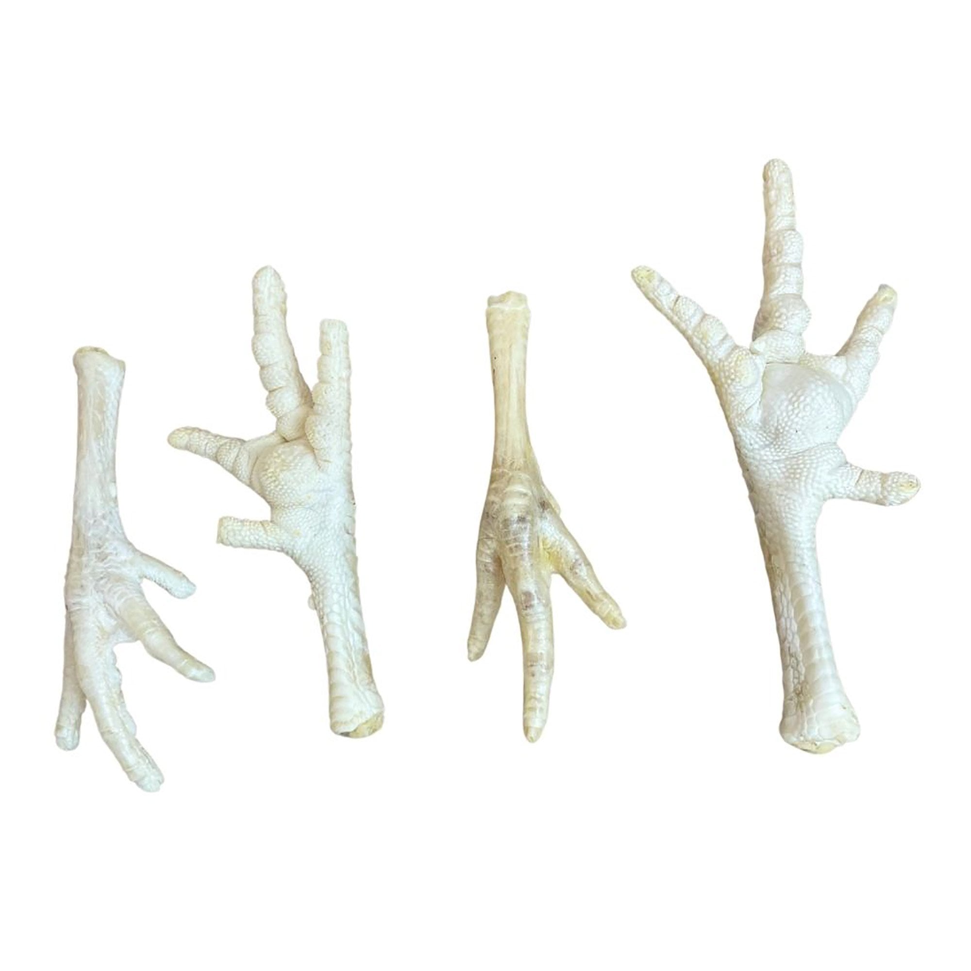 Natural Puffed Chicken Feet Dog Treats 1kg