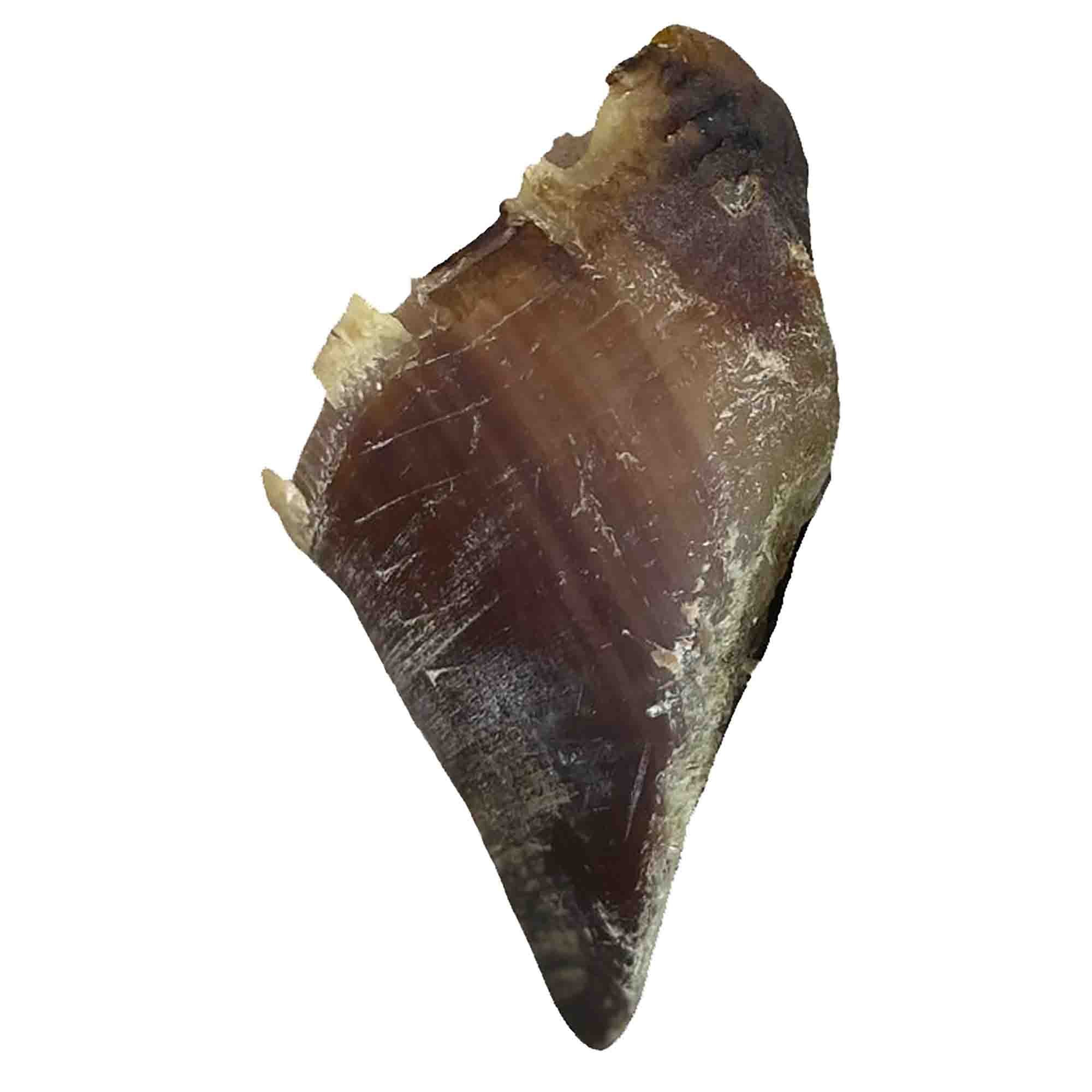 Natural Cows Hooves Empty Dog Treats