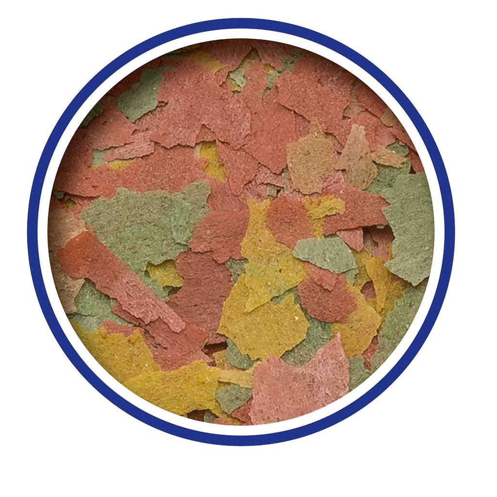 Goldfish Flake Fish Food 55g