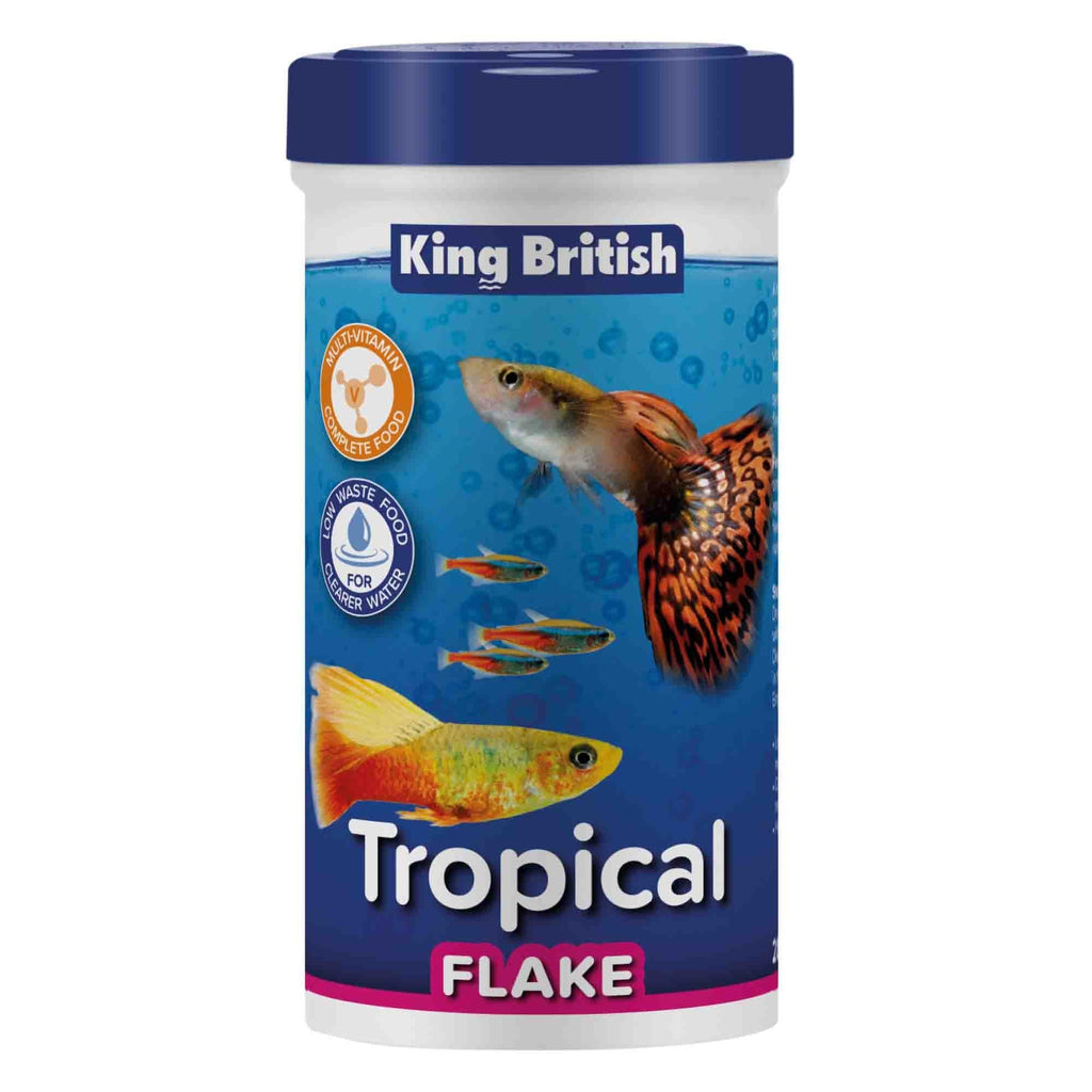 King British Tropical Flake Complete Fish Food 28g