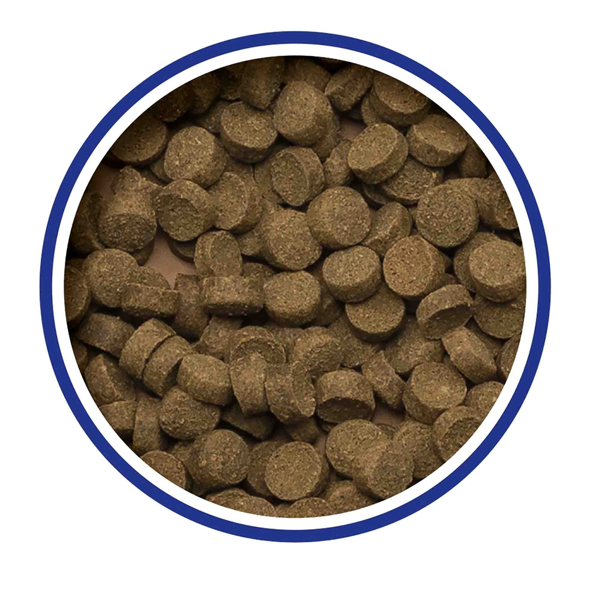 Catfish Pellet Fish Food 200g