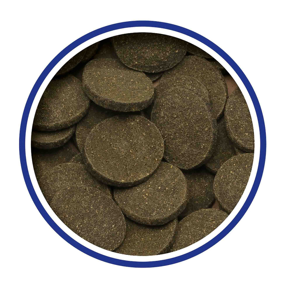 Algae Wafers Fish Food 100g
