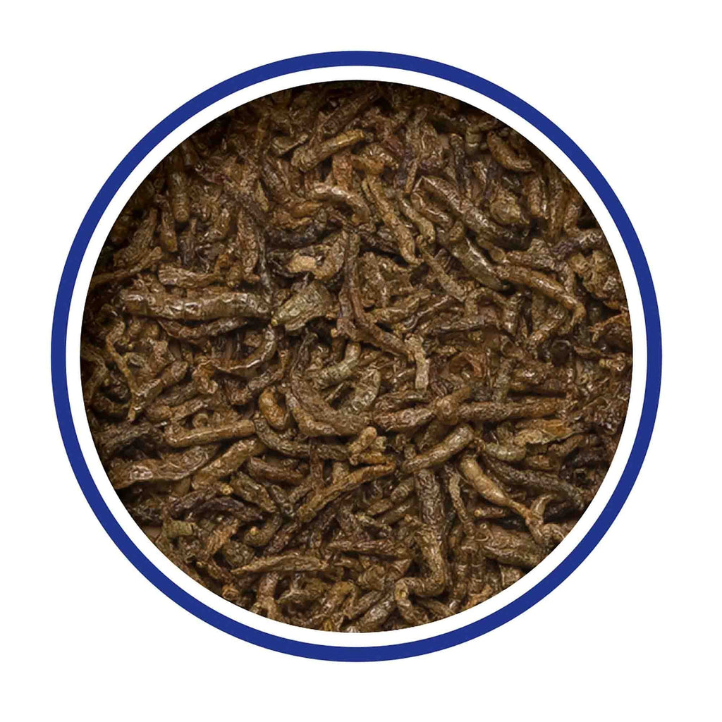 Bloodworm Fish & Turtle Treats 7g