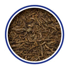 Bloodworm Fish & Turtle Treats 7g
