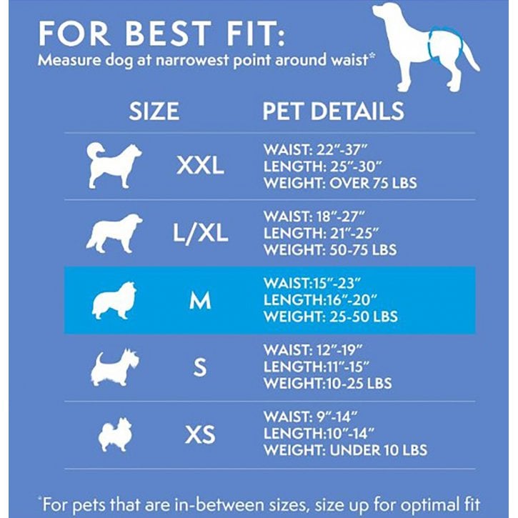 Disposable Diapers For XX Large Dogs 12 Pack