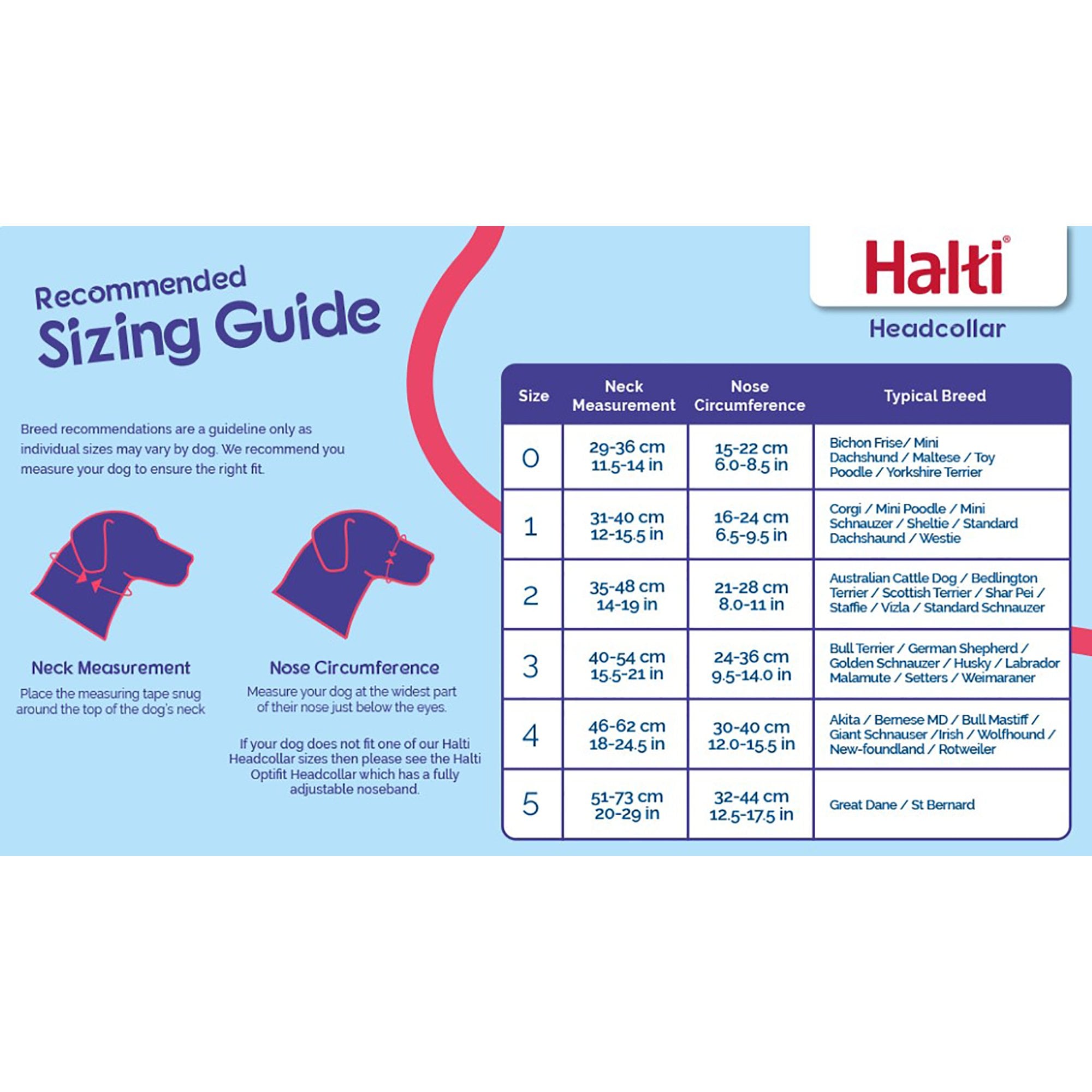 Halti Dog Headcollar