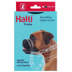 Company of Animals Halti Optifit Headcollar - Medium