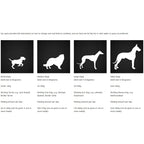 Arkwrights Complete Adult Chicken Dry Dog Food 15kg