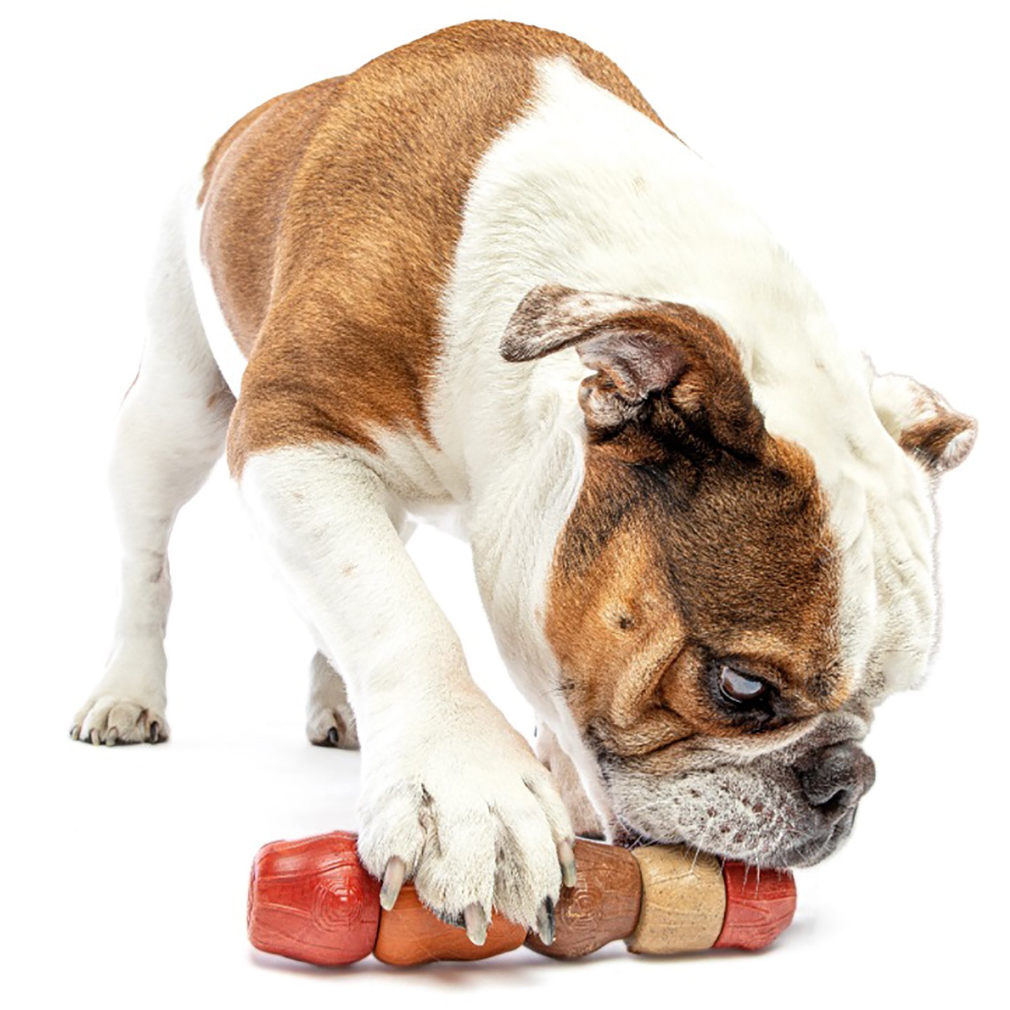 Multi-Flavour Stick Dog Toy - Medium