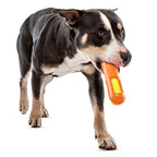 Tennis Max Stick Dog Toy - Medium
