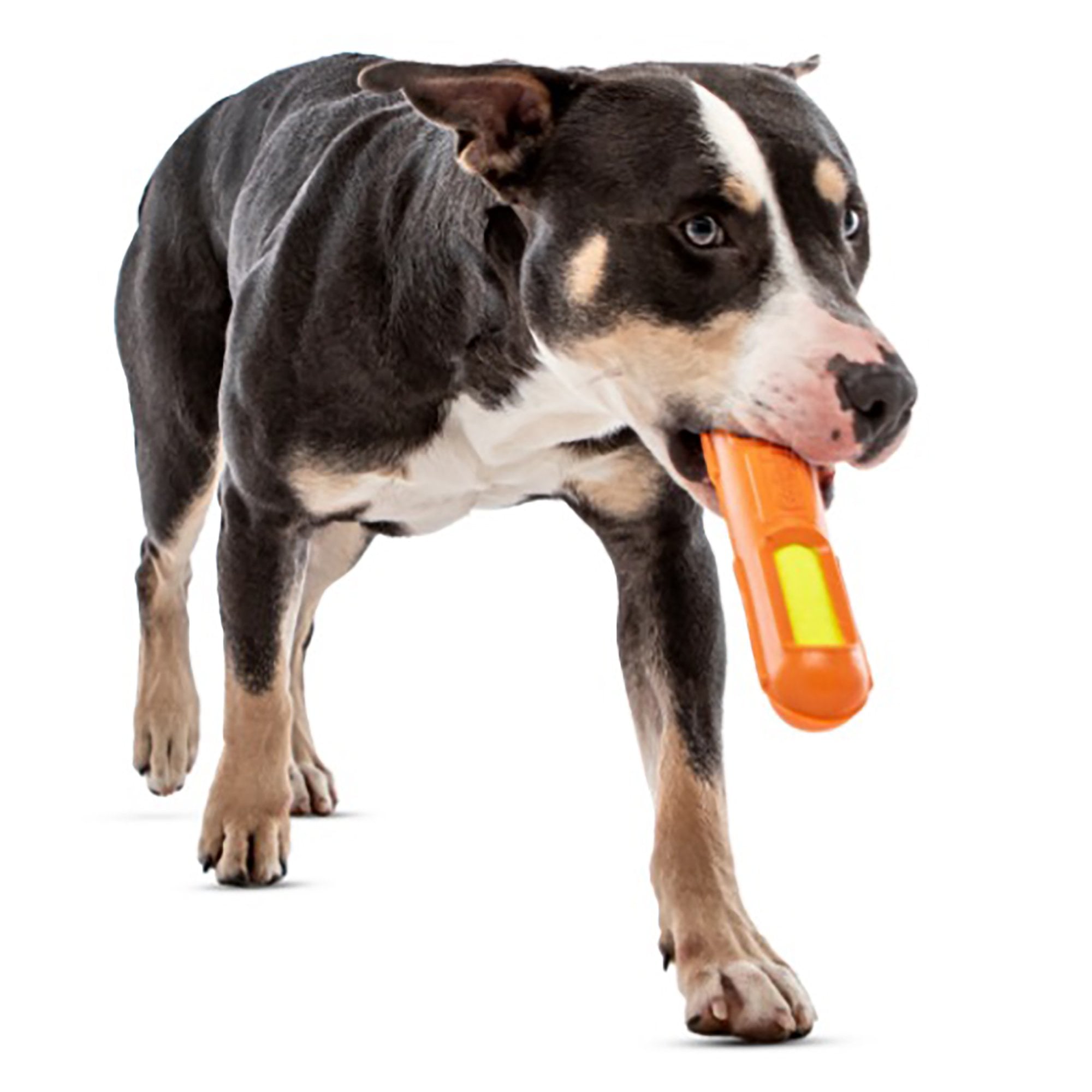 Tennis Max Stick Dog Toy - Medium
